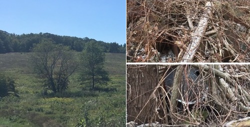 Post image for State instructs Town it must justify exemptions to OML for records about Town-owned farm dump