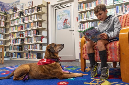 Post image for Read with Furry Friends on Saturdays starting this weekend