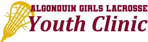 Post image for Youth Lacrosse Clinic run by ARHS Girls team – 4 Sundays this winter (Updated)