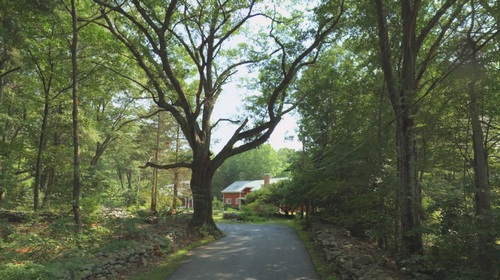 Post image for Selectmen promise to help frustrated residents raising concerns about tree removals and runoff