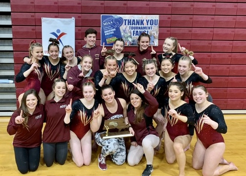 Post image for ARHS Post-season: Cheer on Gymnasts vying for state title and Girls Hockey entering playoffs <em>(Boys Hockey and Basketball out)</em>