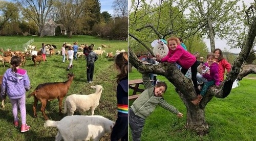 Post image for “Farmer for a Day” for K-5th graders on Tuesday