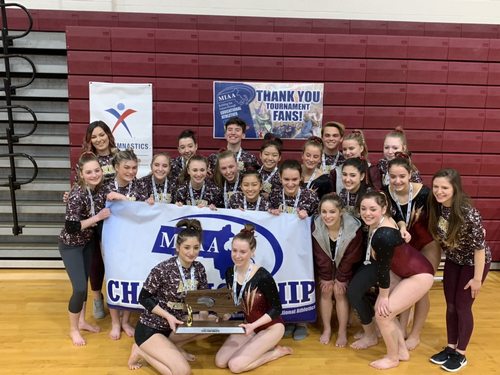 Post image for ARHS Post-season: Gymnastics 2nd place at states; Girls Hockey out