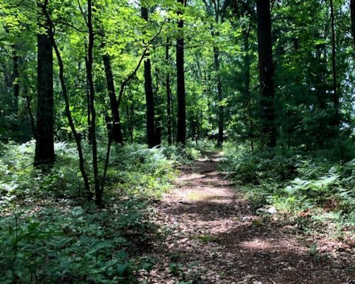 Post image for Trustees of Reservations’ trails closed (including Chestnut Hill Farm’s)