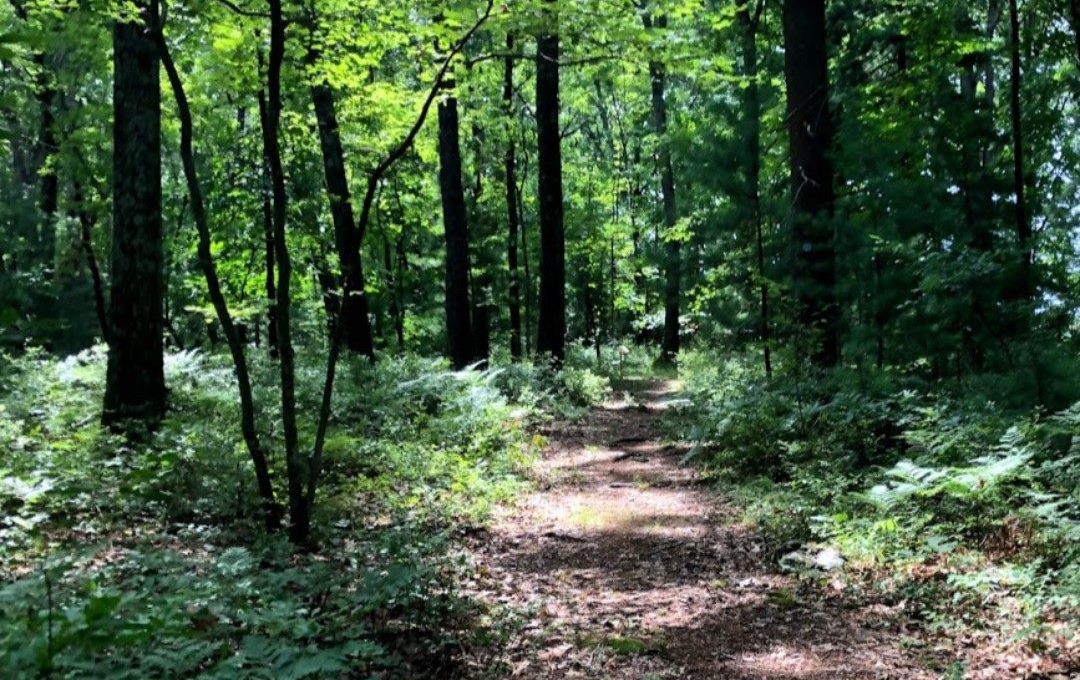 Post image for Town seeking volunteers to help at Chestnut Hill Farm trails