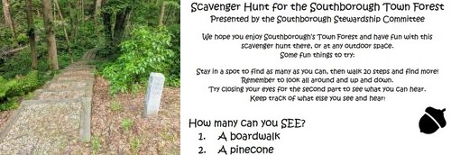 Post image for Enjoy Scavenging the Town forest