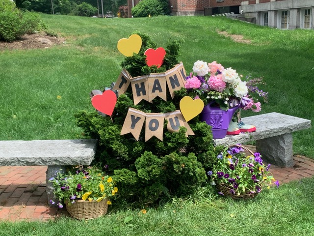 Southborough Gardeners Flash Flowers (contributed)