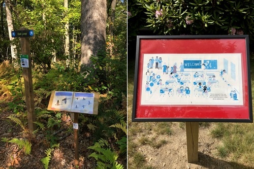 Post image for Walk through some stories at Finn, Woodward, and Chestnut Hill Farm