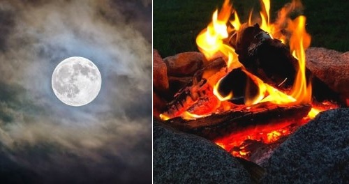 Post image for Events this week: Book Bugs, Book Launch, Brew Moon Hike, and more (Updated)