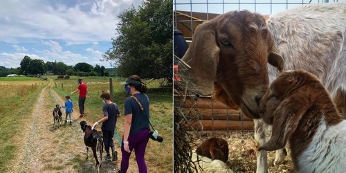 Post image for Events this week: Literacy Webinar, Movie Night, Goats at the farm, Kids concert, Building Bee Houses, and more (Updated)