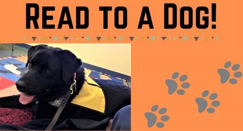 Post image for Sign up to “Read to a Dog” over zoom