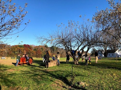 Post image for Chestnut Hill offering Fall Fun at the Farm each Sunday (Updated)