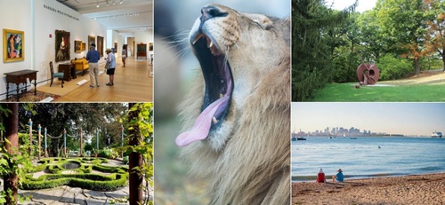 Post image for Library Museum/Zoo/Venue Passes: Some available for use; survey on three more