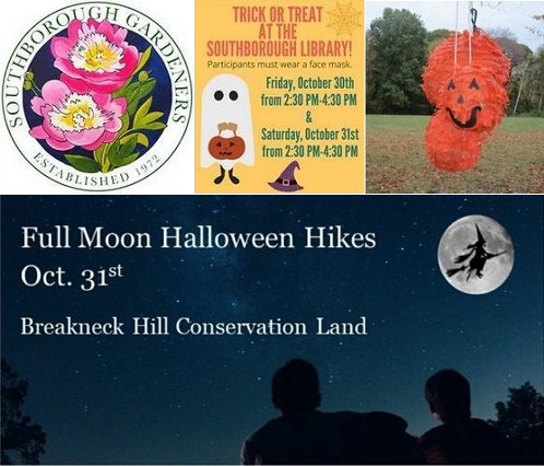 Post image for Events this week: Floral Workshop, Pre-K Yoga & Art, Trick or Treat at Library, & more Halloween fun