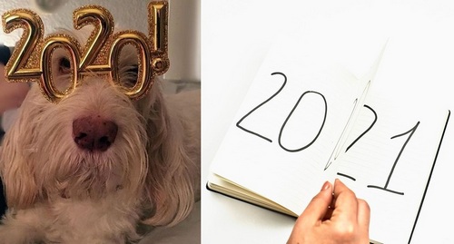 Post image for Looking back at 2020: Coming together during Coronavirus