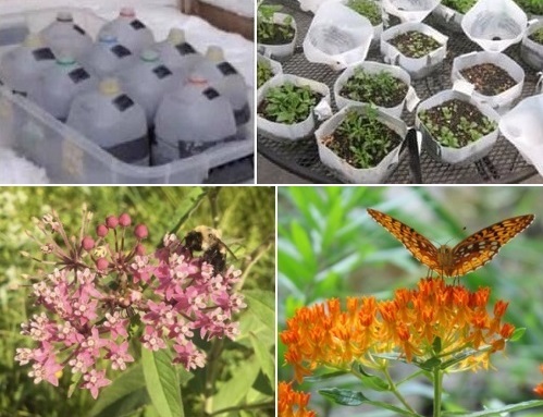 Post image for Register through Sunday for 2nd round of Winter Sow program