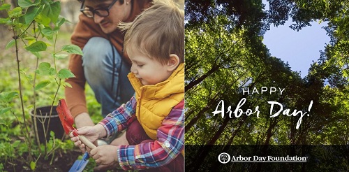 Post image for Today is Arbor Day