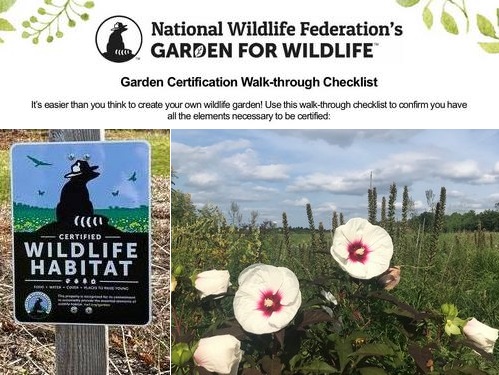 Certify your own yard/garden a “Wildlife Habitat”