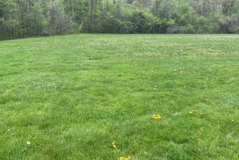 Post image for Recreation not keen to explore a new playground at Liberty Estates Field
