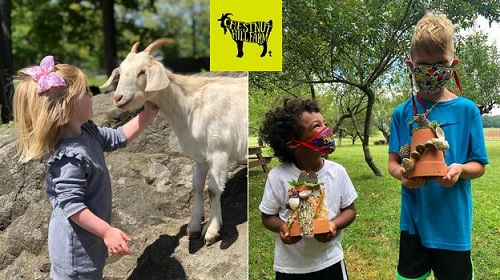 Post image for Chestnut Hill Farm to host more events this summer