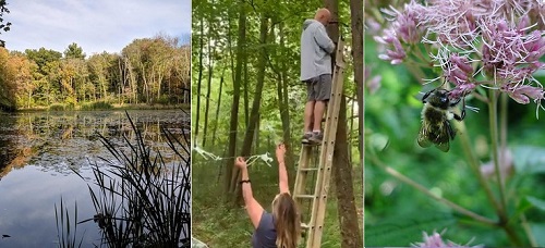 Post image for Outdoor fun: Guided hikes, Art Installations, and Beecology Garden Tour
