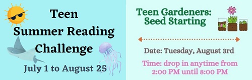 Post image for Library offers teens a challenge and opportunity