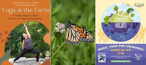 Post image for Events this week: Yoga on the Farm, Tech Time, Magic Show, Butterfly Hike, and Summer Nights