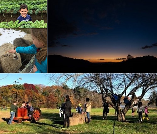 Post image for Chestnut Hill Farm fall fun & adventures