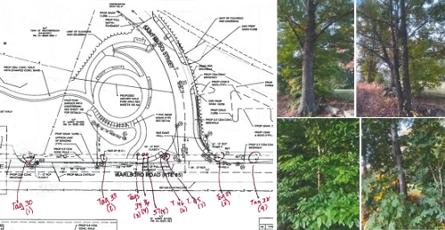 Post image for Controversies over St Marks St/pocket park project, burial plot disturbance claims, and tree clearings (past and future)