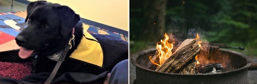 Post image for Events this week: Story Times, art/photography classes for kids and adults, Fire Pit Saturdays, and ARHS Class of 2024 fundraiser (Updated)