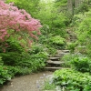 Garden in the Woods