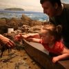 New England Aquarium