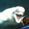 Mystic Aquarium