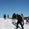 solf-snowshoeing-1