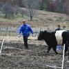 20101107-family-farm-day-breakneck-hill-8