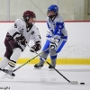 20110121-arhs-girls-hockey-1