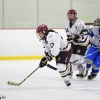 20110121-arhs-girls-hockey-11