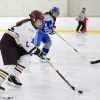 20110121-arhs-girls-hockey-8