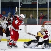 20110131-arhs-hockey-6