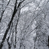 20110401-april-snow-3