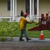 20110519-tree-trimming-1