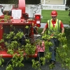 20110519-tree-trimming-3