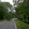 20110828-ts-irene-main