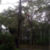 20110828-ts-irene-marlboro