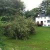 20110828-ts-irene-whitebagley