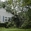 20110828-ts-irene-10