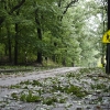 20110828-ts-irene-13