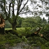 20110828-ts-irene-7