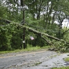 20110828-ts-irene-8