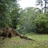 20110828-ts-irene-9